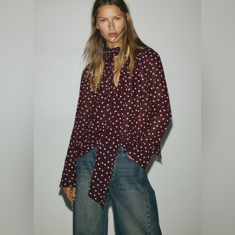 H&M Burgundy Polka Dot Tie-Neck Blouse